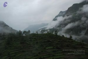 20080708 DSC 0143 CMP WM.jpg