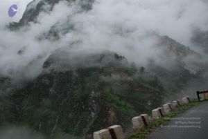 20080708 DSC 0147 CMP WM.jpg