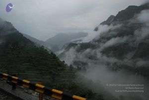 20080708 DSC 0150 CMP WM.jpg