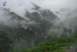 20080708 DSC 0157 CMP WM.jpg