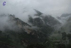 20080708 DSC 0158 CMP WM.jpg