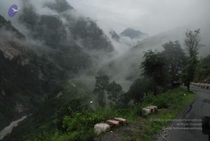 20080708 DSC 0160 CMP WM.jpg