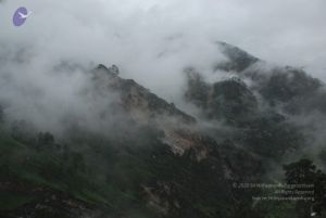 20080708 DSC 0163 CMP WM.jpg