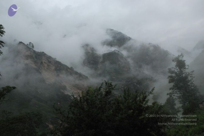 20080708 DSC 0165 CMP WM.jpg