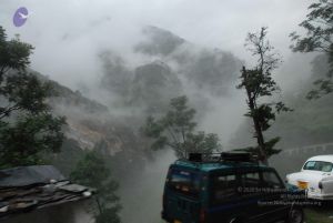 20080708 DSC 0169 CMP WM.jpg