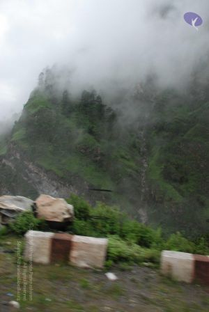 20080708 DSC 0186 CMP WM.jpg