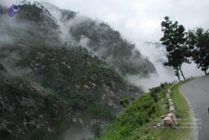 20080708 DSC 0194 CMP WM.jpg