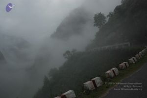 20080708 DSC 0197 CMP WM.jpg