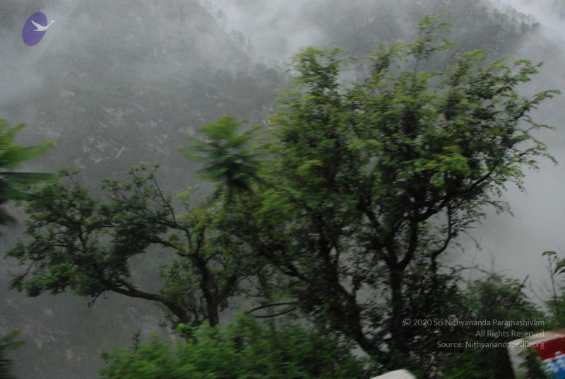 File:20080708 DSC 0200 CMP WM.jpg