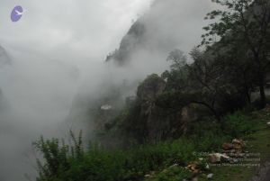 20080708 DSC 0201 CMP WM.jpg