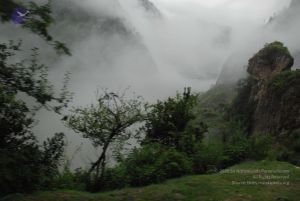 20080708 DSC 0203 CMP WM.jpg