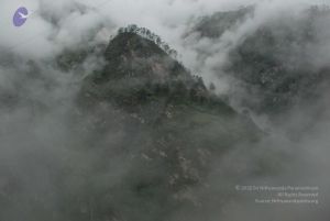 20080708 DSC 0205 CMP WM.jpg