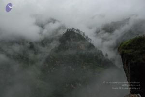 20080708 DSC 0206 CMP WM.jpg