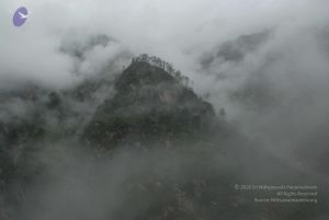 20080708 DSC 0208 CMP WM.jpg