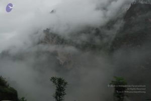 20080708 DSC 0209 CMP WM.jpg