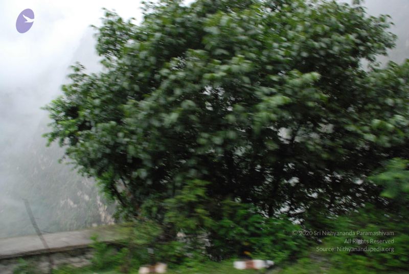 File:20080708 DSC 0222 CMP WM.jpg