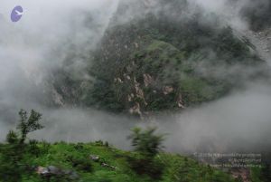 20080708 DSC 0224 CMP WM.jpg