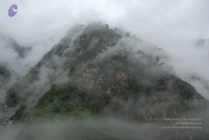 20080708 DSC 0232 CMP WM.jpg