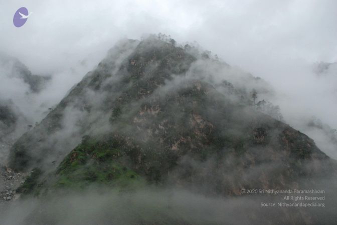 20080708 DSC 0232 CMP WM.jpg