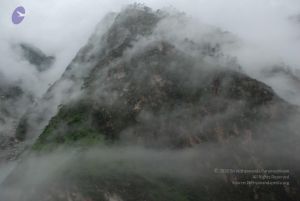 20080708 DSC 0236 CMP WM.jpg