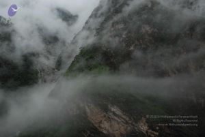 20080708 DSC 0237 CMP WM.jpg