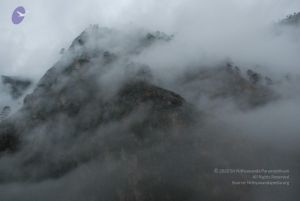 20080708 DSC 0249 CMP WM.jpg