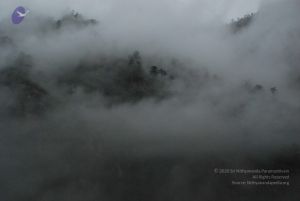 20080708 DSC 0250 CMP WM.jpg