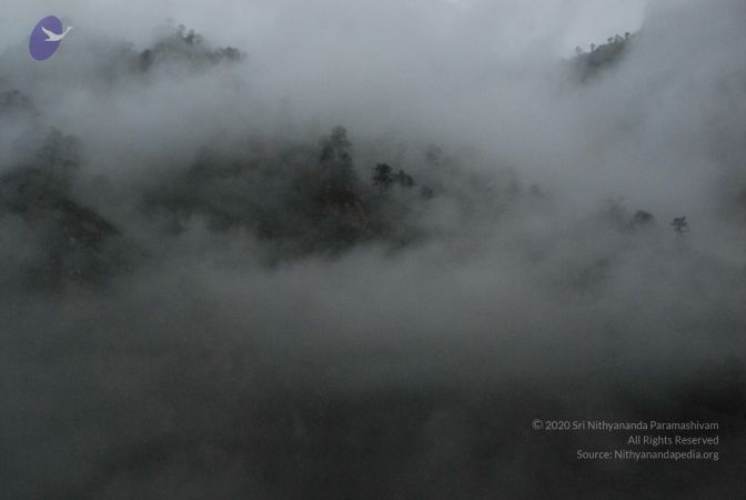 20080708 DSC 0250 CMP WM.jpg