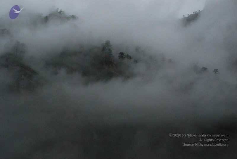 File:20080708 DSC 0250 CMP WM.jpg