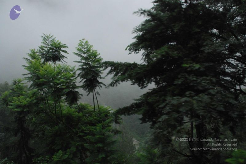 File:20080708 DSC 0257 CMP WM.jpg