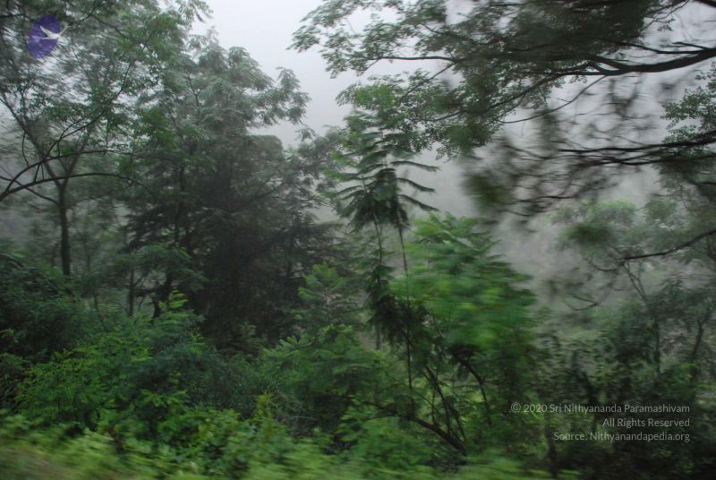 File:20080708 DSC 0258 CMP WM.jpg