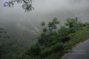 20080708 DSC 0259 CMP WM.jpg