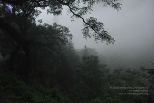 20080708 DSC 0260 CMP WM.jpg