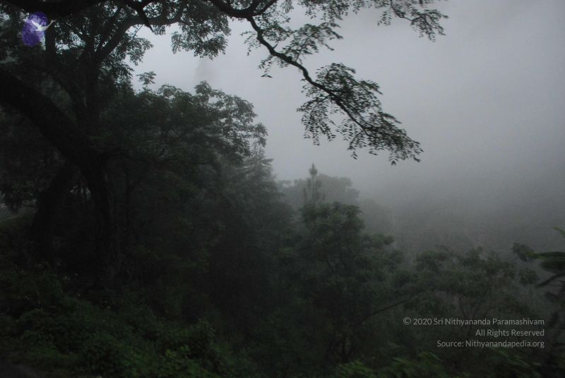 File:20080708 DSC 0260 CMP WM.jpg