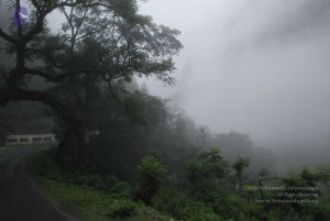 20080708 DSC 0261 CMP WM.jpg