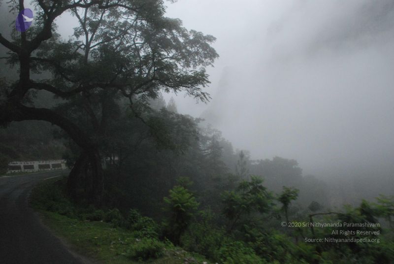 File:20080708 DSC 0261 CMP WM.jpg