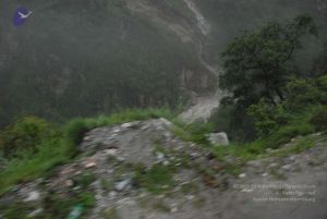 20080708 DSC 0262 CMP WM.jpg