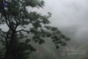 20080708 DSC 0264 CMP WM.jpg