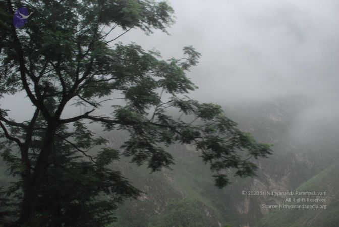 20080708 DSC 0264 CMP WM.jpg