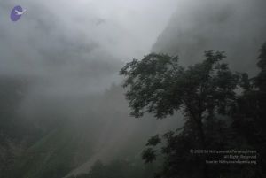 20080708 DSC 0265 CMP WM.jpg