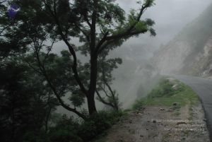 20080708 DSC 0267 CMP WM.jpg