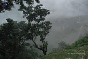 20080708 DSC 0268 CMP WM.jpg