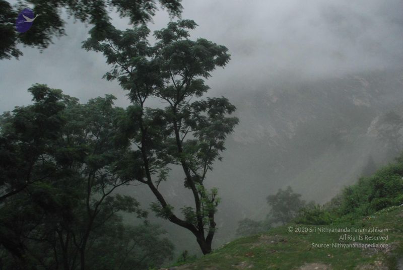 File:20080708 DSC 0268 CMP WM.jpg