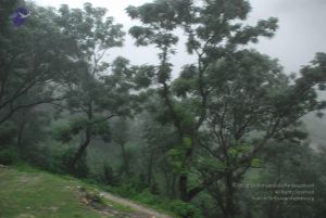 20080708 DSC 0269 CMP WM.jpg