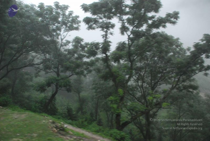 File:20080708 DSC 0269 CMP WM.jpg