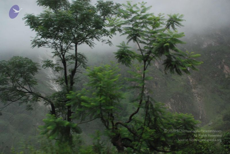 File:20080708 DSC 0273 CMP WM.jpg