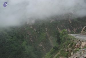 20080708 DSC 0274 CMP WM.jpg