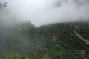 20080708 DSC 0277 CMP WM.jpg