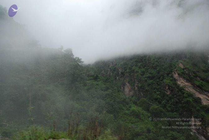 20080708 DSC 0277 CMP WM.jpg