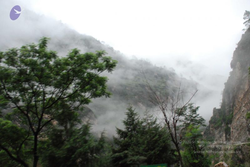 File:20080708 DSC 0280 CMP WM.jpg